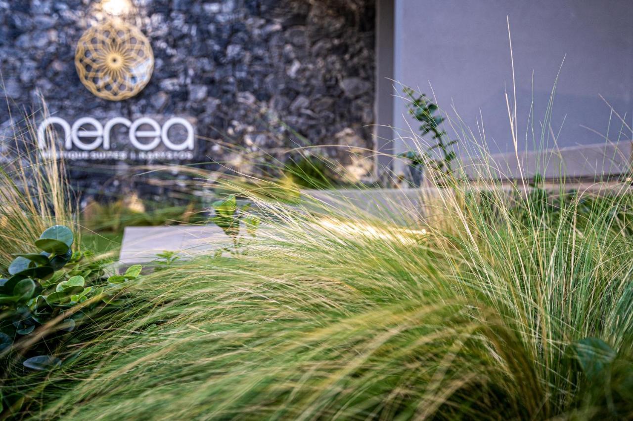 Nerea Boutique Suites Karystos Экстерьер фото